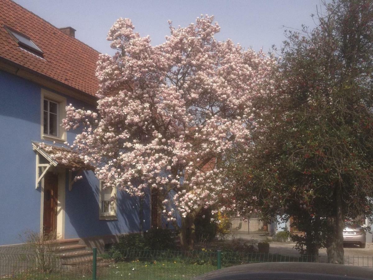 Maison Des Ecluses F3 90m2 Jacuzzi Climatisation * Straßburg