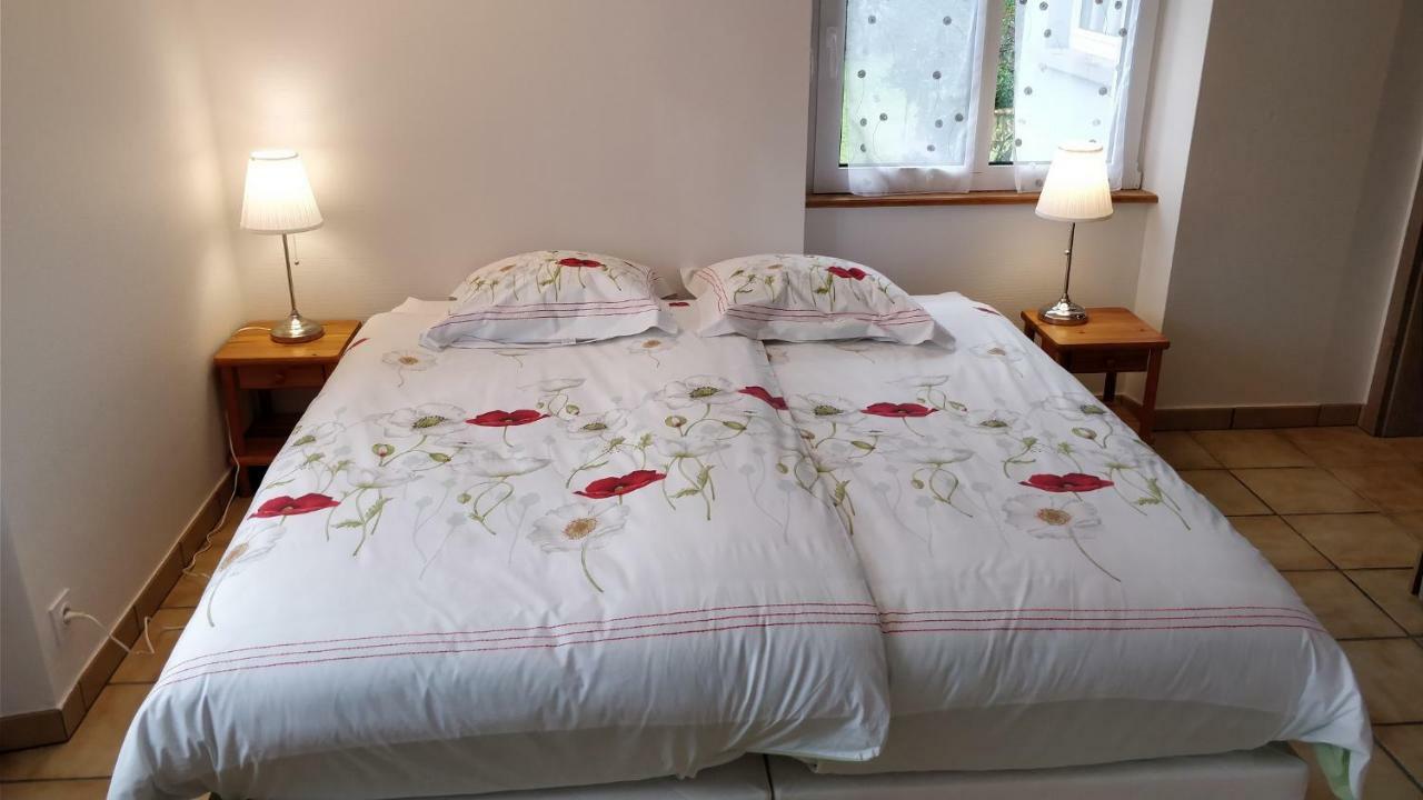 Maison Des écluses F3 90m2 Jacuzzi Climatisation * Strasburgo
